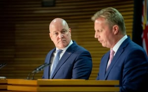 India free trade agreement excludes dairy, but that could change - ministerl