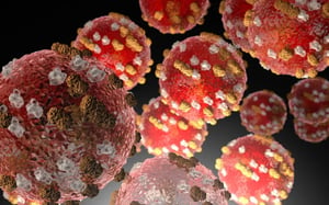 Measles likely circulating in Wellington community