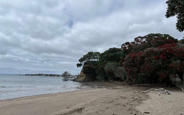 Police officer jumps in sea to save woman stranded near Auckland's Castor Bay