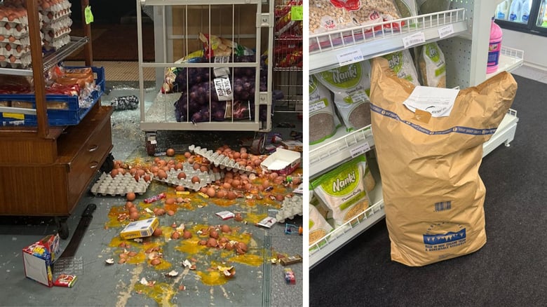 ‘Time To Up Security Like Jewellery Stores?': Owner Of Indian Store Burgled Twice