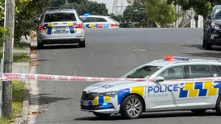 Police update on Onehunga firearms incident