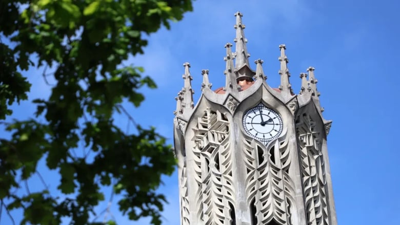 New Zealand students' details caught up in massive global university hack