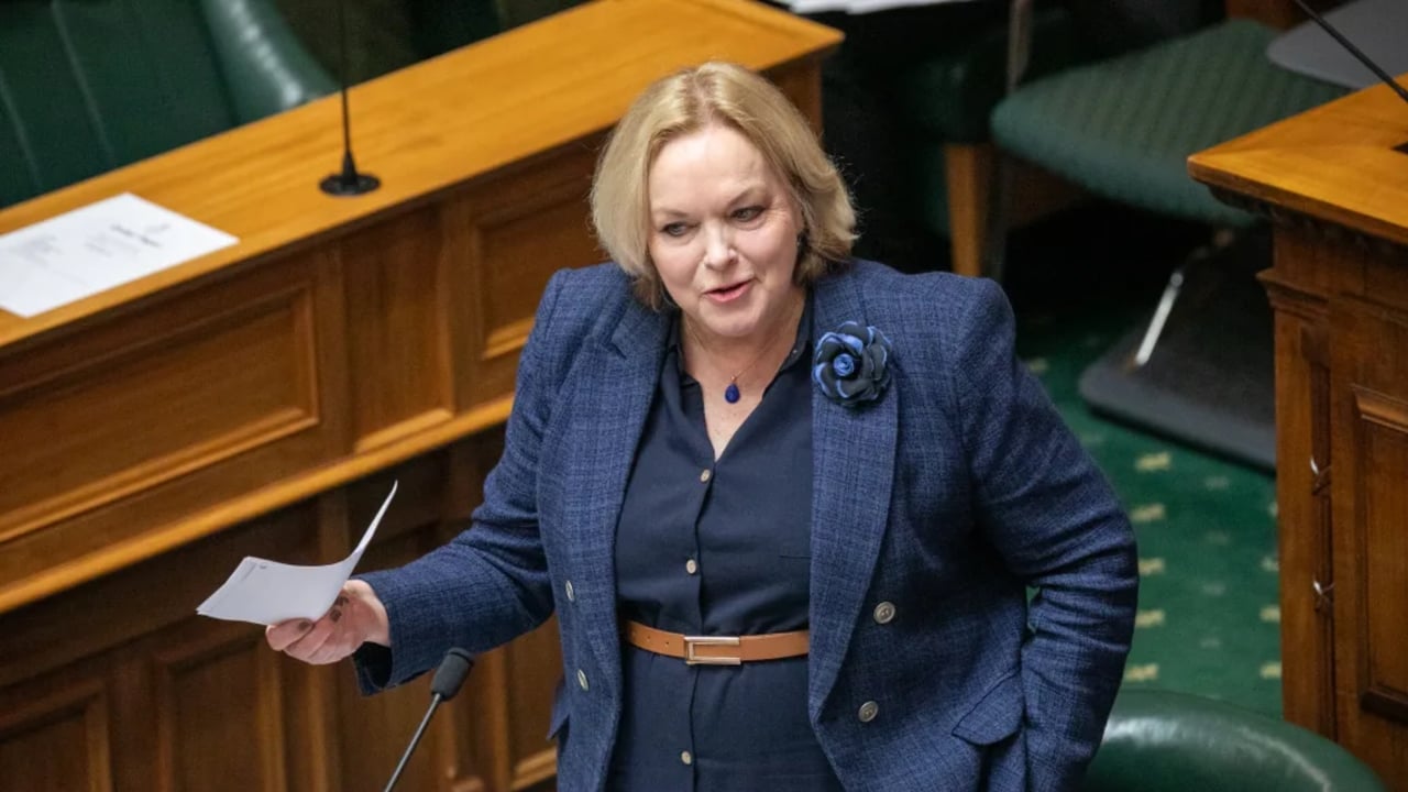Judith Collins retires from politics