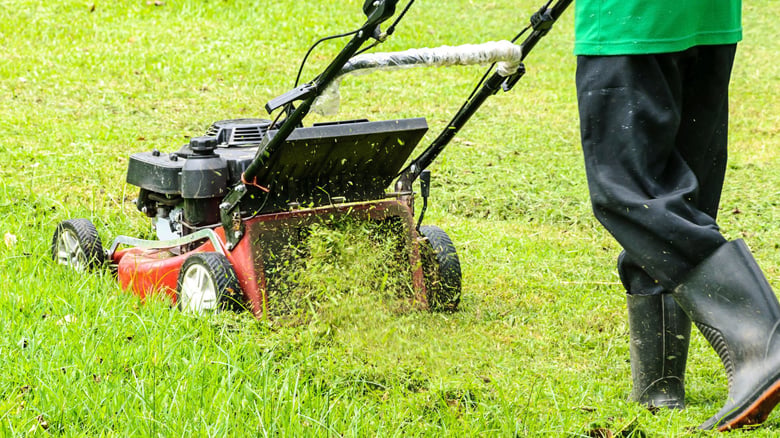 Indian migrant worker to be repaid $45K charged for Auckland job