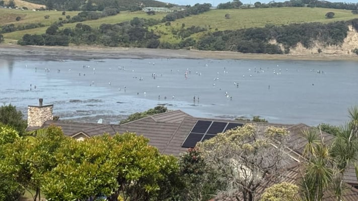 Calls for Asians to be deported and threats of physical violence are among some of the latest social media comments aimed at people accused of stripping rockpools and breaching fishing rules.