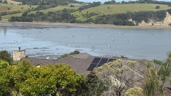 Racist threats amid accusations rockpools being stripped