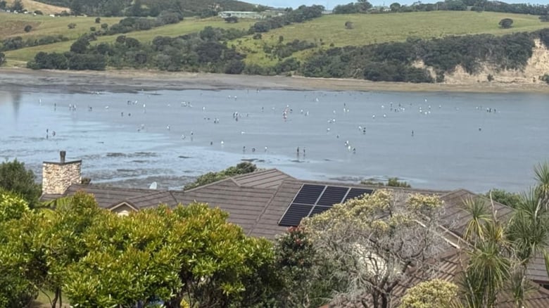 Racist threats amid accusations rockpools being stripped