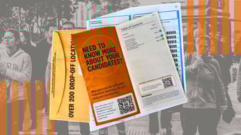 Papatoetoe by-election: Could turnout drop without Vote on the Go?