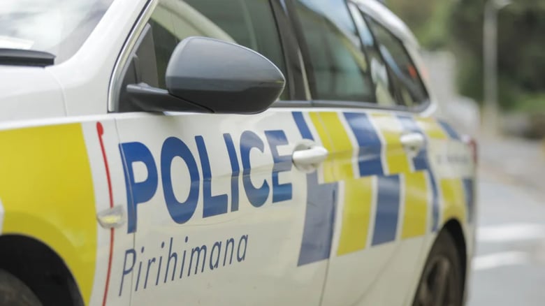 Two arrested after firearm sighting on Auckland's North Shore