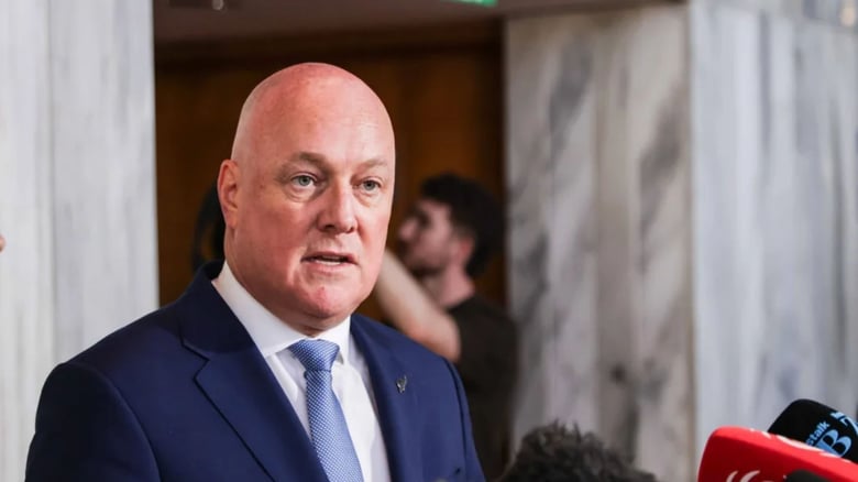 New citizenship test to remind migrants of New Zealand values, Christopher Luxon says