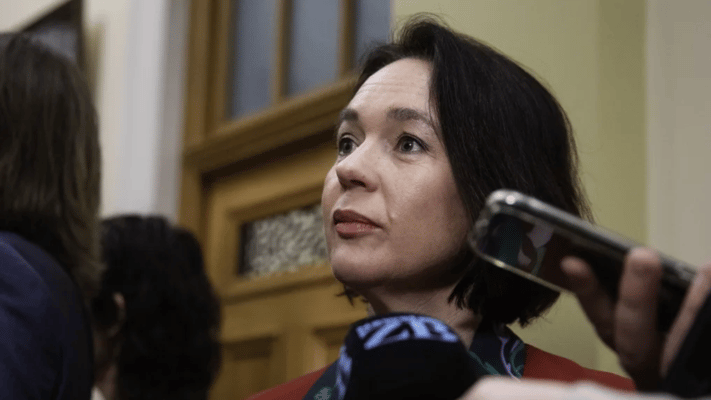 Ginny Andersen says it is unacceptable to personally attack someone. Photo: RNZ / Angus Dreaver