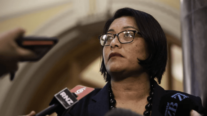 The opposition and victim support services are calling for more detail on how the government plans to achieve its nine targets.