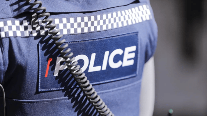 A woman has serious head injuries after allegedly being beaten with a hammer in the Hamilton suburb of Frankton.