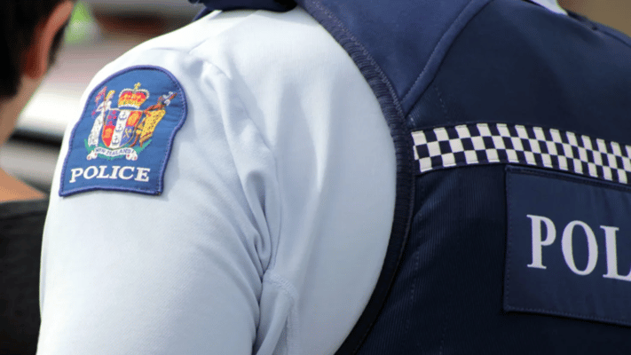 Police are keen to hear from a rideshare driver who helped a hit and run victim left lying on the road.