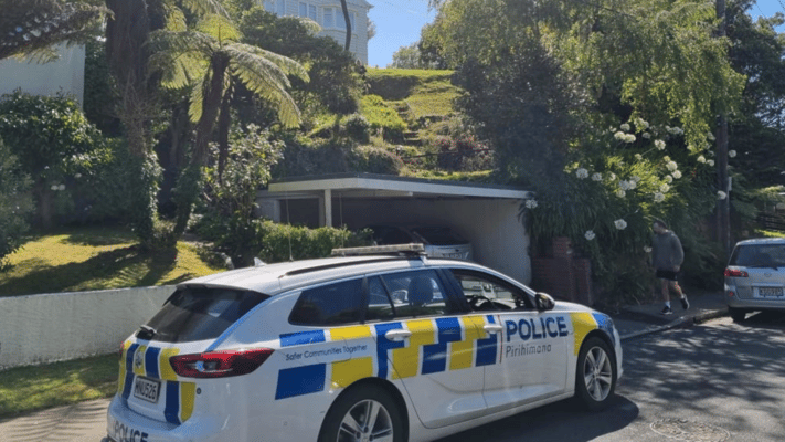 The person accused of murdering a 79-year-old Wellington woman has also been charged with obtaining more than $1000 by deception.