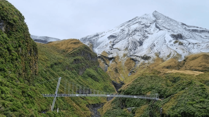 The echoes of karakia, waiata and rūruku (chants) heralded the official opening of a 100-metre-long suspension bridge on Taranaki Maunga on Wednesday.