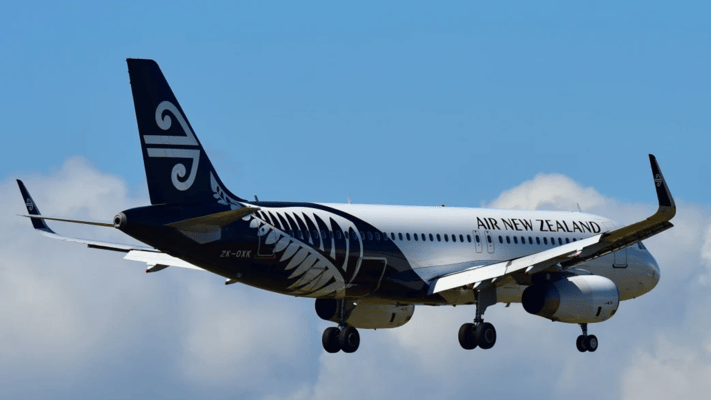 Air New Zealand says a customer and crew member were injured during turbulence on a domestic flight at the weekend.