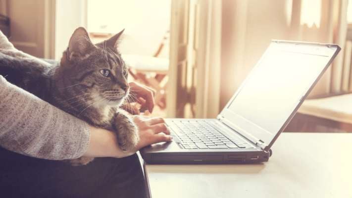 Working from home has become increasingly popular in recent years, but what jobs pay the best? 
