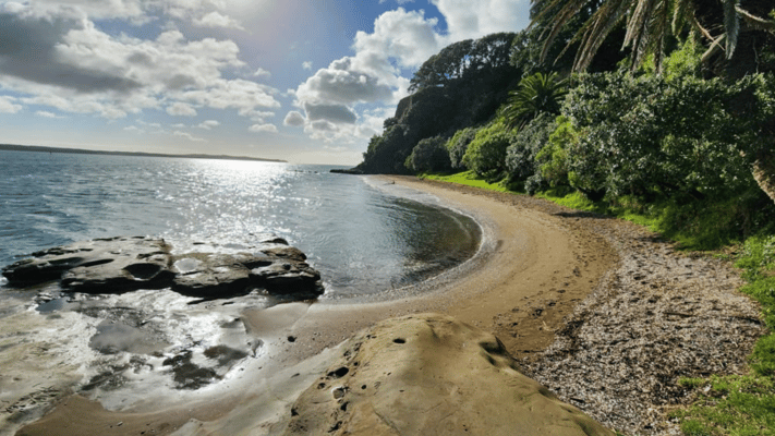 Amanjeet Singh, a 30-year-old man of Indian origin, was found dead on 24 July 2024 at St Heliers beach in Auckland