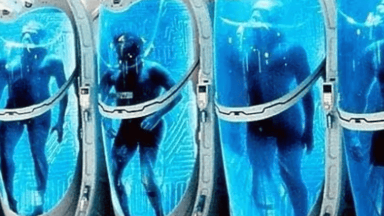 Can We Freeze A Body And Bring It Back To Life?