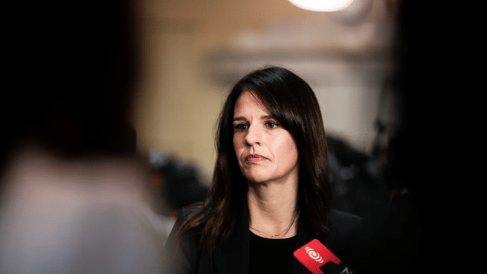 Immigration Minister Erica Stanford says a 'crack team' has been set up to work on bringing down spiralling wait times for work visas.