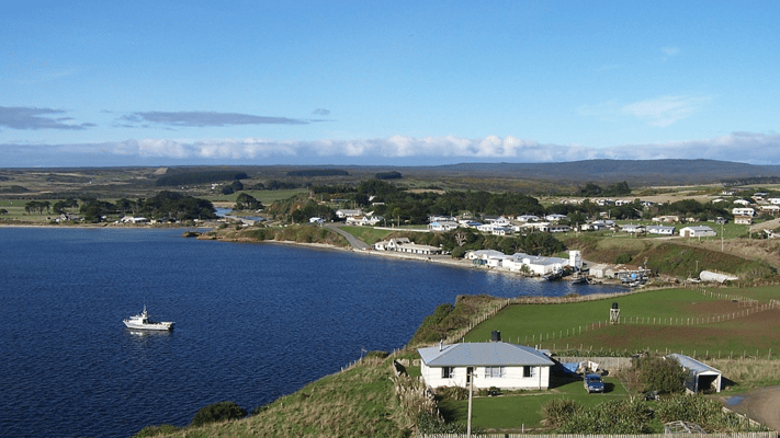 A diver has sustained injuries in a shark attack near the Chatham Islands.
