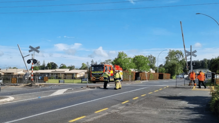 Three people died and two are in hospital after a car collided with a freight train in Hamilton, police say.