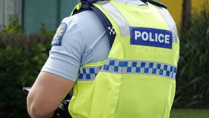 A pursuit after a shot was fired at a car has led to three arrests and the seizure of a shotgun, Auckland police say