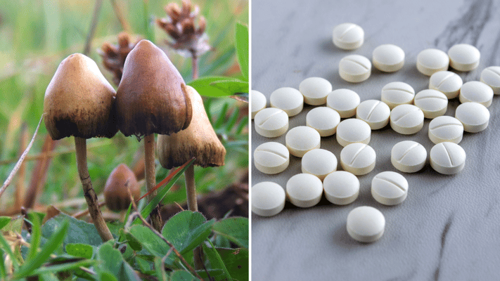 Melatonin to Be Sold Over-the-Counter; Magic Mushrooms Can Be Prescribed for Depression