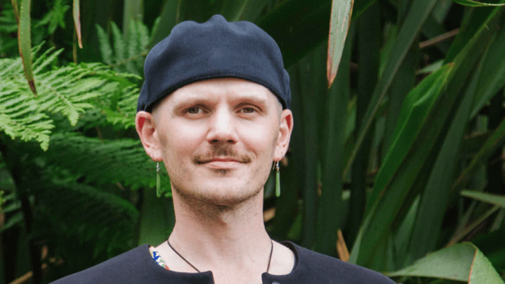 Green MP Benjamin Doyle has announced they are stepping down from Parliament, citing concerns for their safety and well-being
