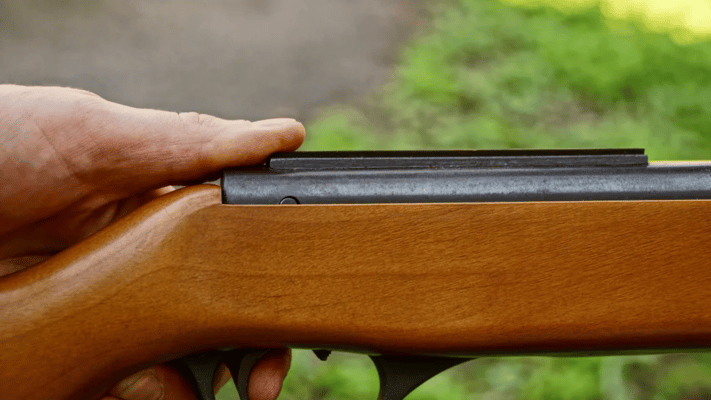 Gun control advocates want the government to restrict or block the import and ownership of a type of rifle that is easily cut down to serve as a handgun.