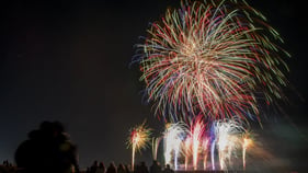Government rejects calls to ban public sale of fireworks