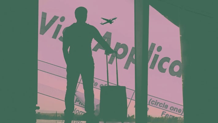 Rogue immigration system approved visas by itself