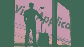 Rogue immigration system approved visas by itself