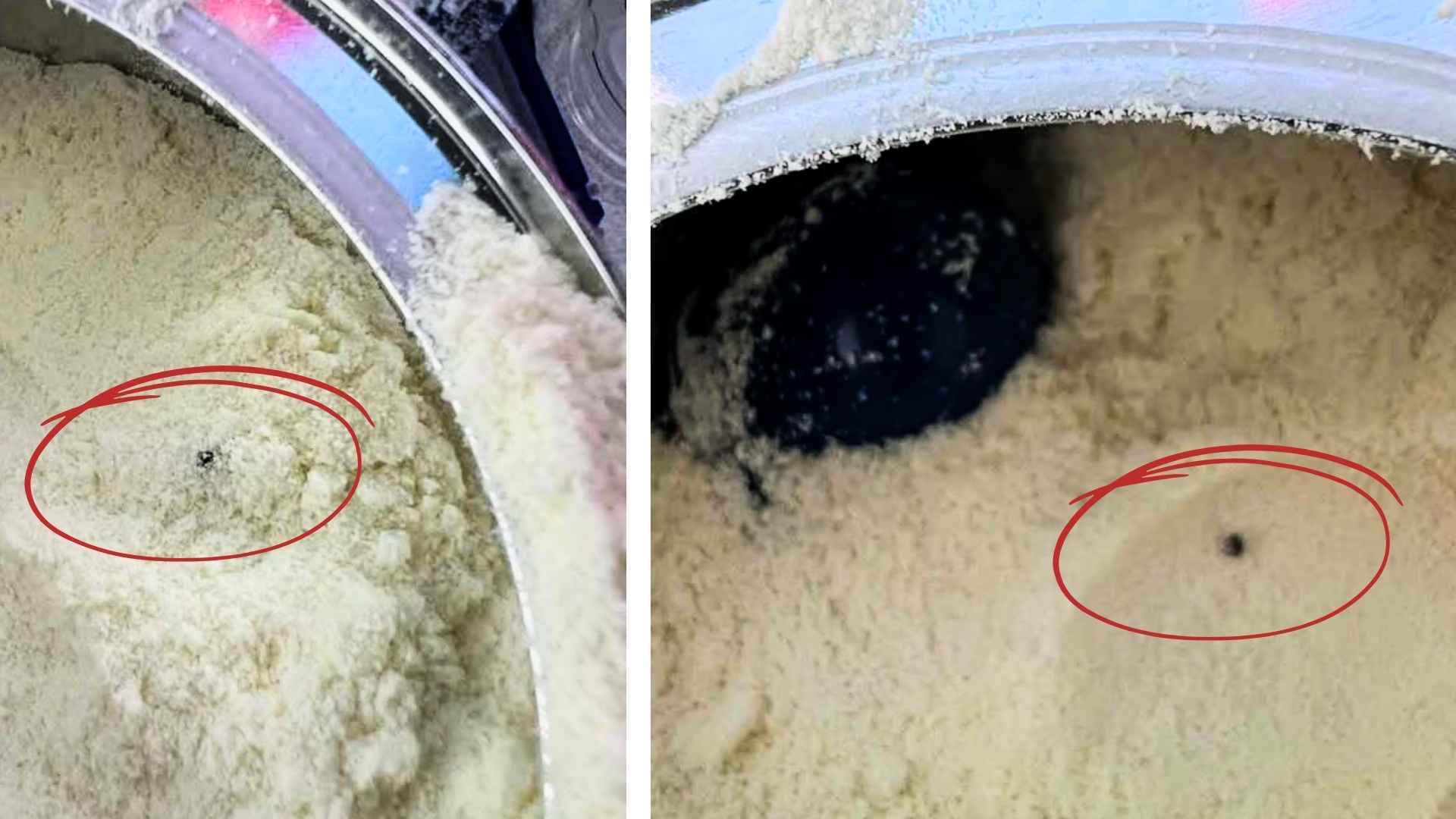 Danone NZ Baby Formula Under Probe After Bug Contamination