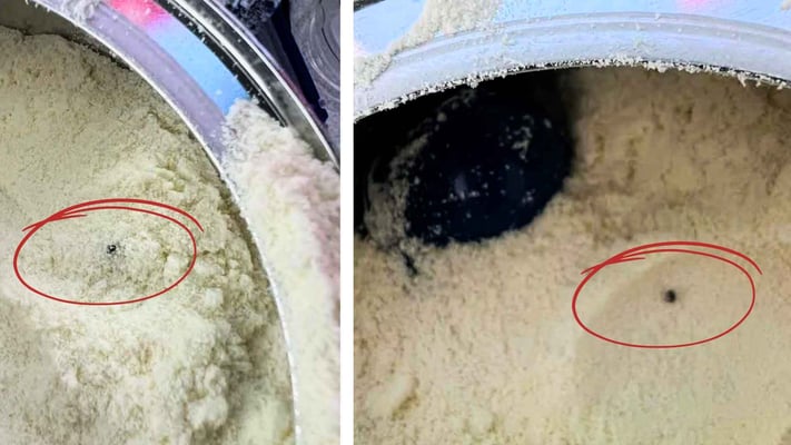 Probe Underway After South Akl Mum Finds ‘Bugs’ in Baby Formula 