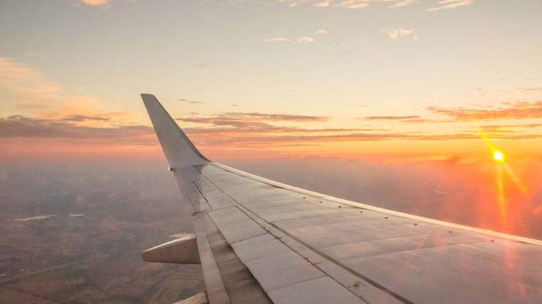 Chch Airport Declares Emergency After Bird Strike On Fiji-Bound Flight