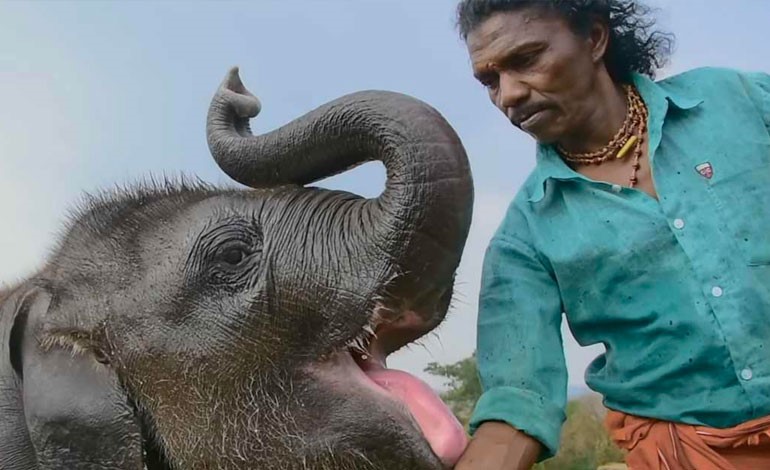 The Elephant Whisperers