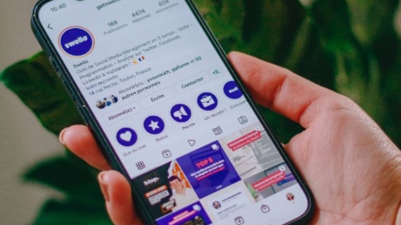 Dating, With Background Checks