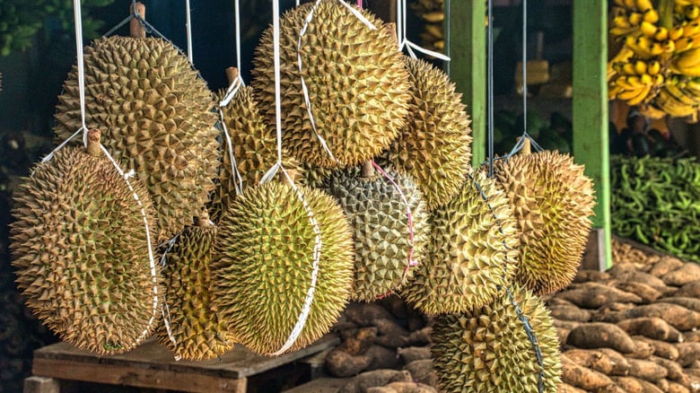 Durian: The $100 Fruit in New Zealand Supermarkets