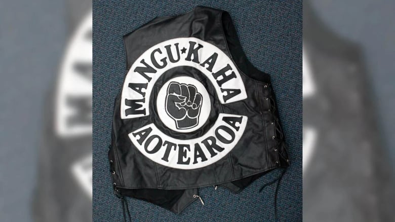 Gang patch attack: Man runs over, accused pleads guilty