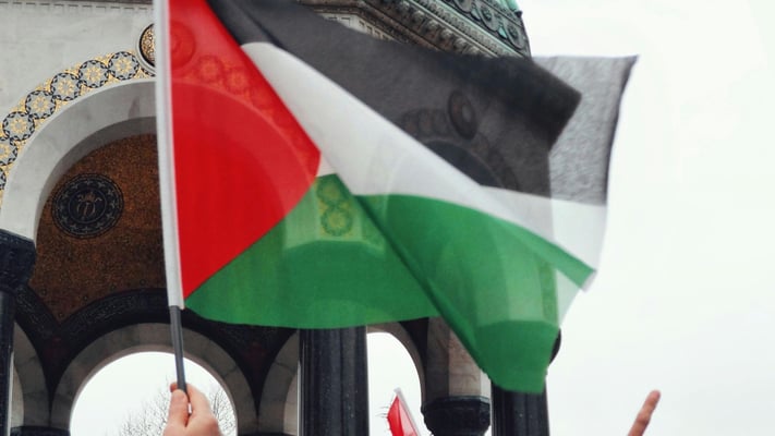 Auckland Streets Flooded as Tens of Thousands Rally for Palestine