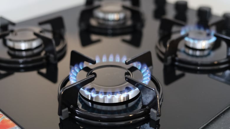Warning! Gas Stoves Fuel Deaths and Health Risks in New Zealand: Report