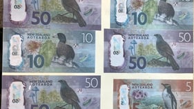 Police alert over fake $50 and $100 notes in NZ