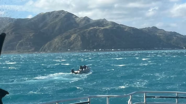 Boaties and diver rescued off Wellington Coast