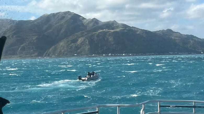 Boaties and diver rescued off&nbsp;Wellington Coast