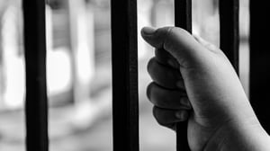 Wealthy family member convicted over child abuse material released on parole