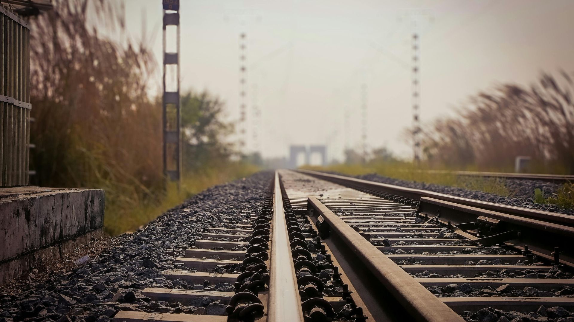 Passengers stranded after Auckland train wrongly routed