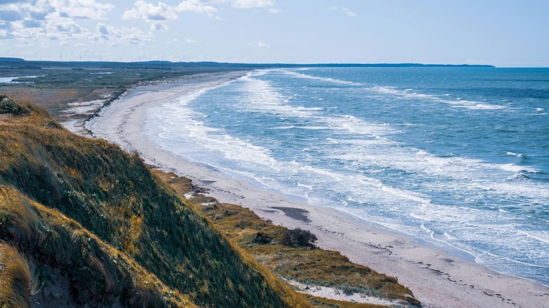 ‘We’ve Lost Our fishing grounds’: Anger Grows In Samoa Over Manawanui Shipwreck Fallout
