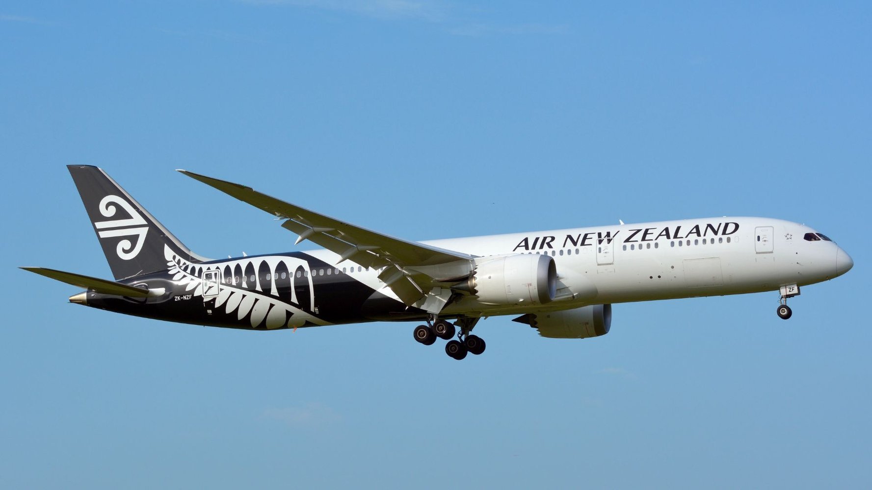 Air New Zealand Fares Rise Up to $90 Amid Fuel Price Surge